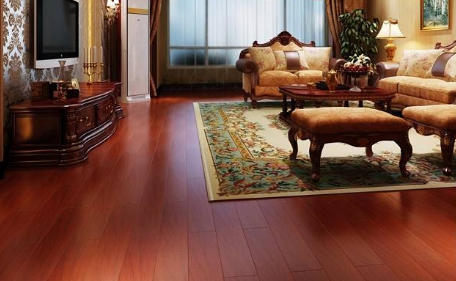 圓盤豆3.png 圓盤豆3.png